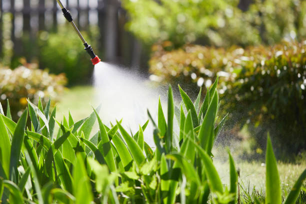 24/7 Emergency Rodent Control experts in Parker City, IN